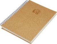 BAYINDIR - Bayındır 20X28 S.Deri Spiralli Günlük Çizgili Ajanda (Ivory) 400Syf