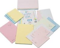 BAYINDIR - Bayındır A4 Kolej Yedek Çizgili 4 Renk 100Yp