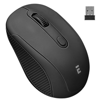 EVEREST - Everest SM-300 Usb Siyah 4D Optik Süper Sessiz Alkalin Pil Kablosuz Mouse