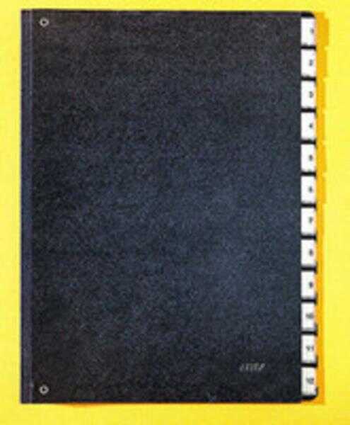 Leitz 5812 Evrak Düzenleyici Dosya 1-12