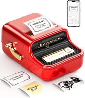 NIIMBOT - NiiMbot B21S Etiket Makinesi Kırmızı Kablosuz Taşınabilir Bluetooth - USB Şarjlı