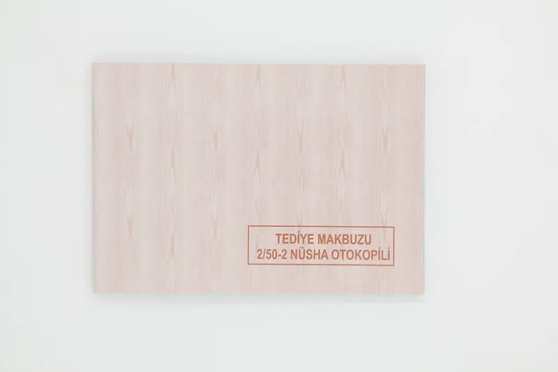 Dilman 2/50 Tediye Makbuzu 2 Nüsha