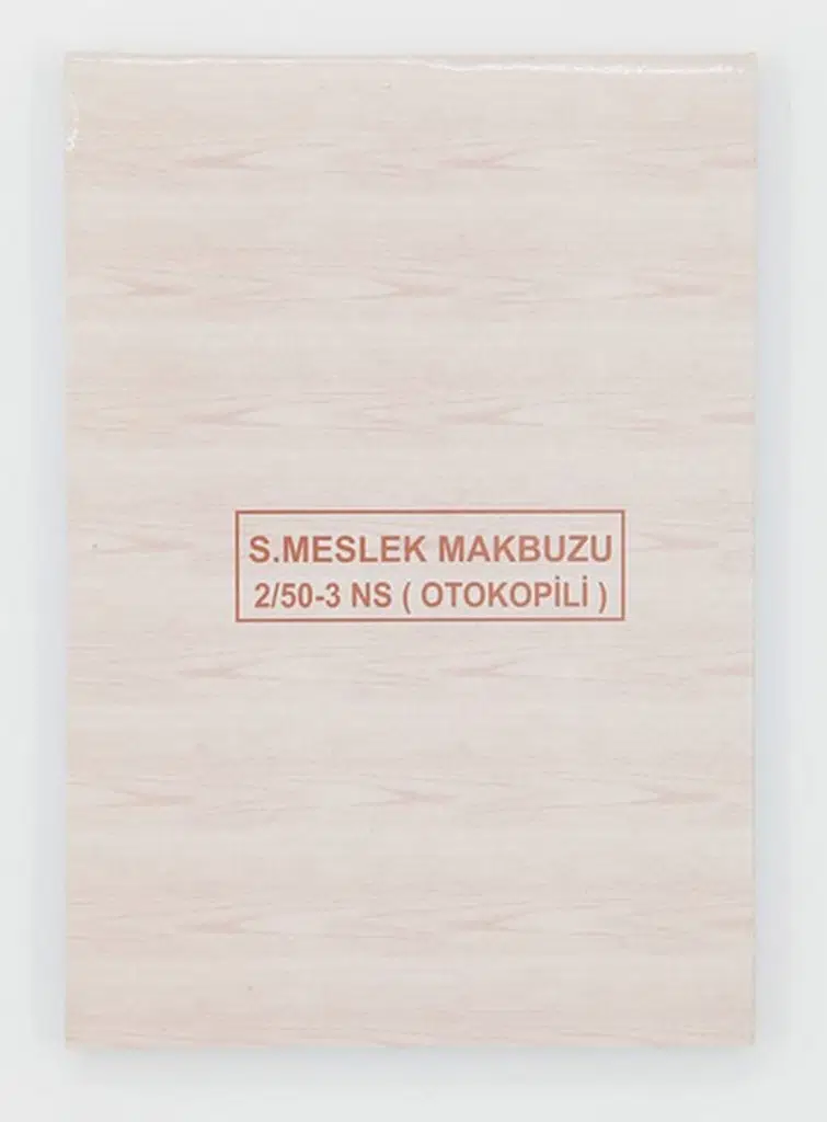 Dilman Serbest Meslek Ciltli 48yp