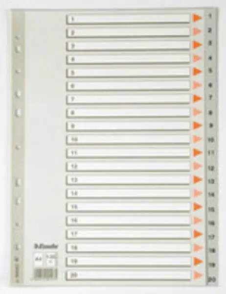 Esselte Seperatör A4 1-20 Rakamlı