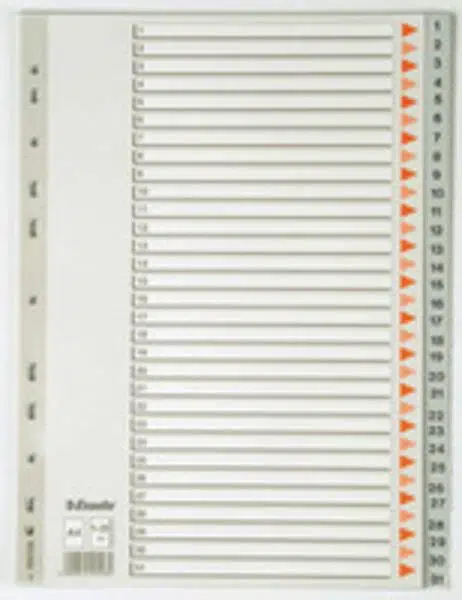 Esselte Seperatör A4 1-31 Rakamlı