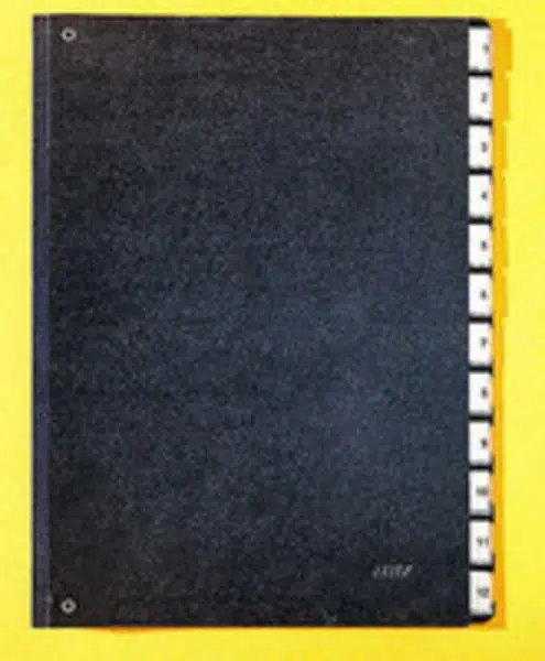 Leitz 5812 Evrak Düzenleyici Dosya 1-12